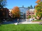 The University of Oregon