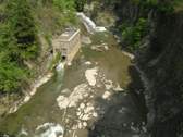 Cornell University